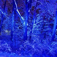 2026-Schnee3.jpg